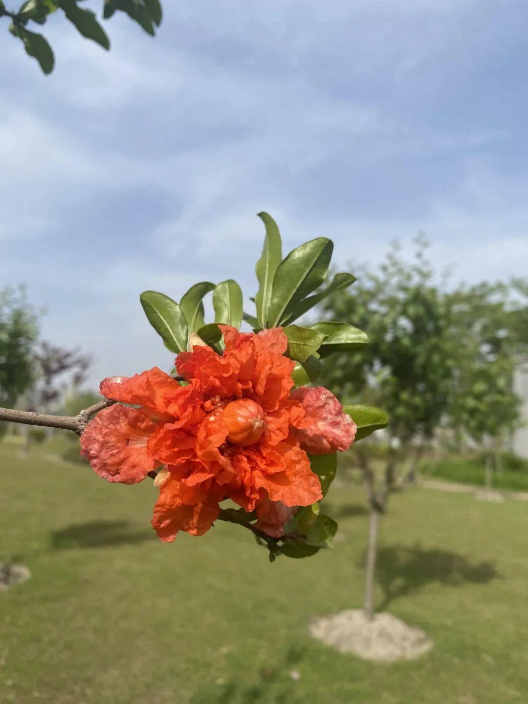 新款车型引领你踏上自然美景探索之旅