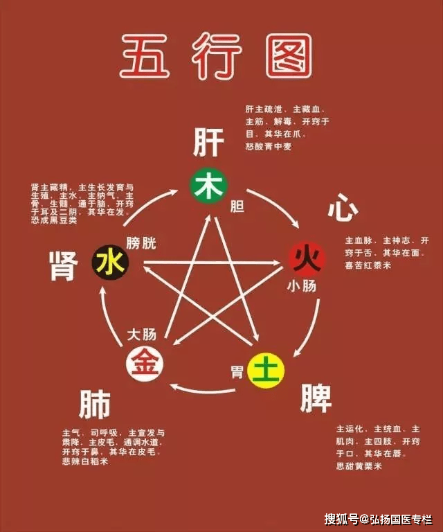 最新叩肺顺序，迈向自信与成就的步伐
