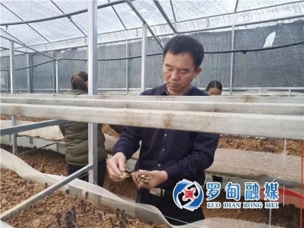 垂钓爱好者新乐土