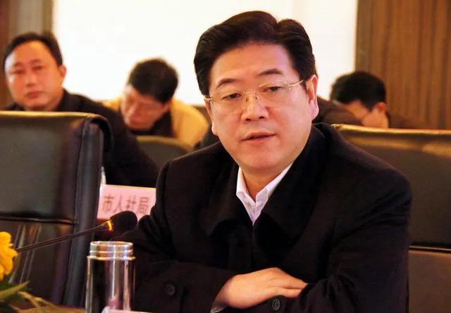 严书记的最新报道，日常温馨趣事与友情的交织纽带