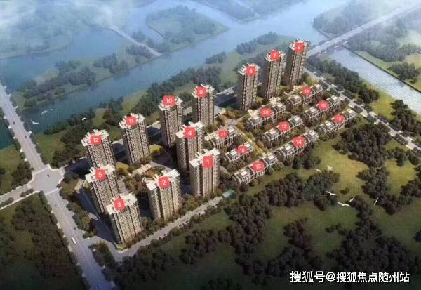 云顶锐雯最新动态，深度分析与个人观点分享
