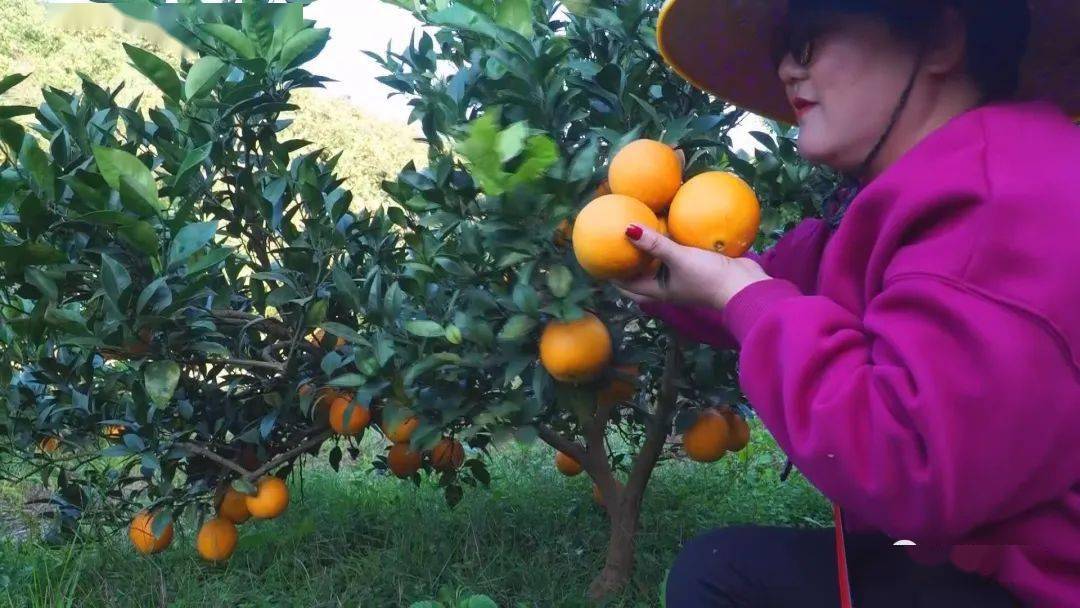 HDPE塑钢缠绕管 第169页