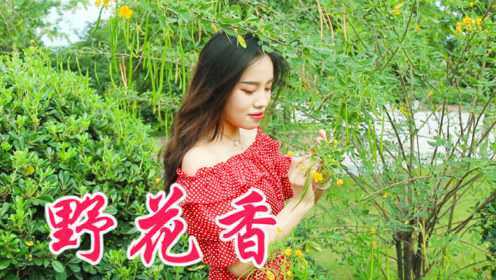 变化中的学习之旅与自信成就感的旋律（或学习成就感的旋律）