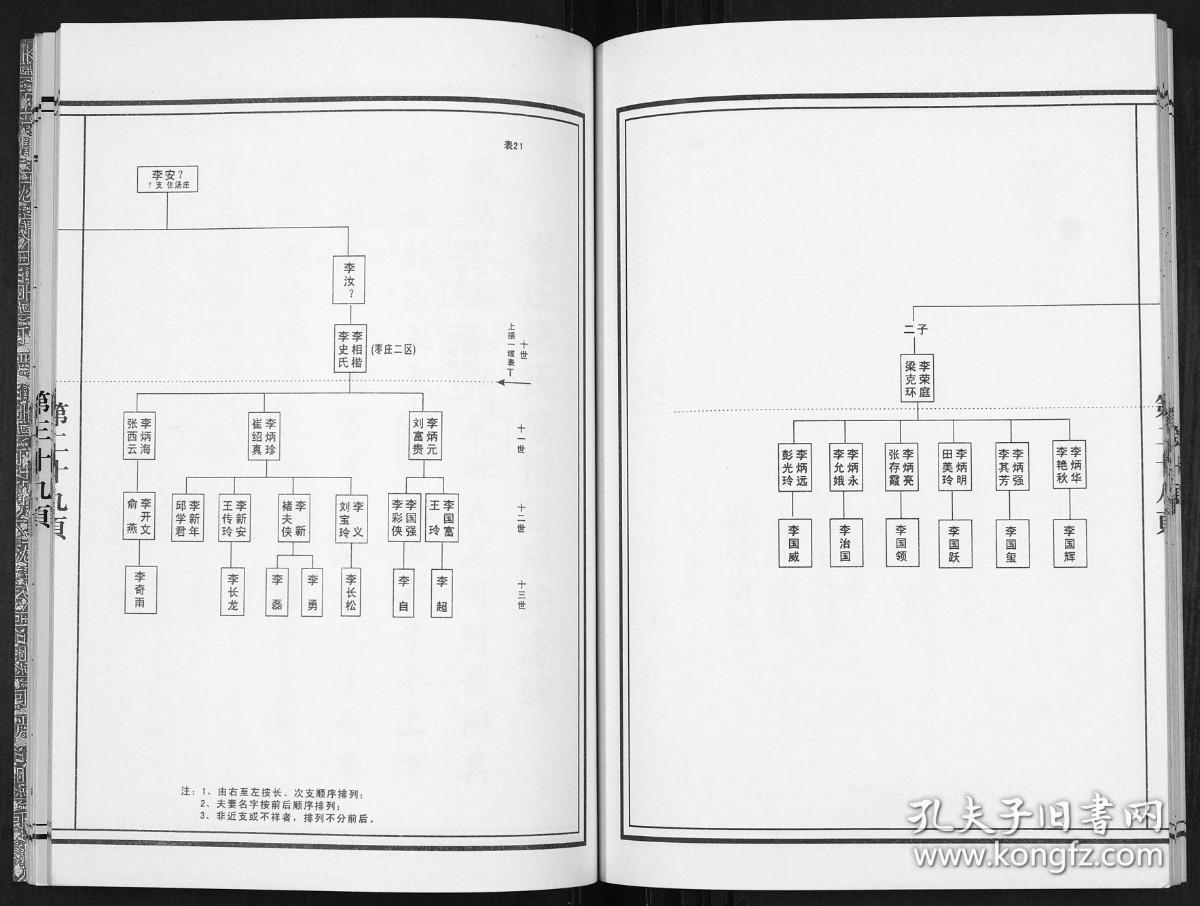 最新李姓家谱论述概览
