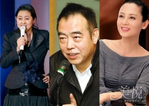 揭秘陈红老公身份背后的真相与争议