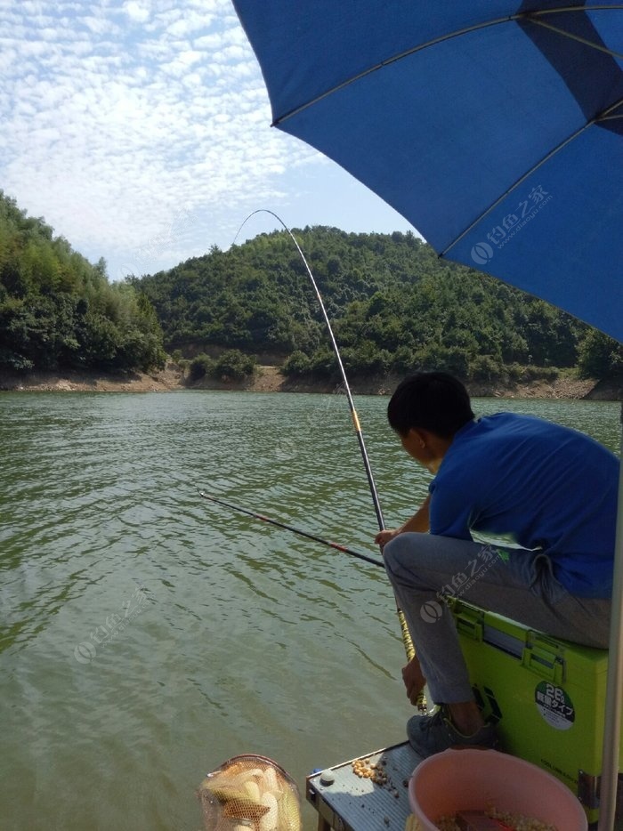 最新单吊体验，一场难忘的钓鱼之旅