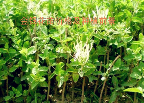 HDPE双壁波纹管 第133页