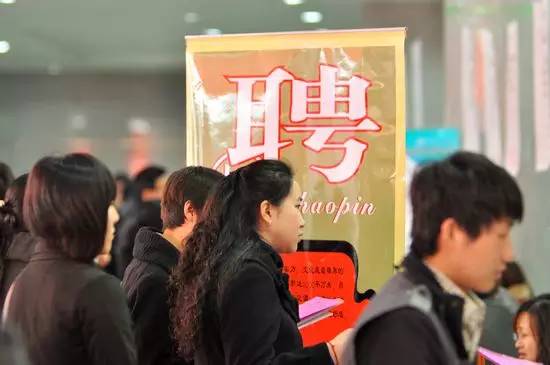 求职奇遇之旅（或爱与陪伴求职之旅）