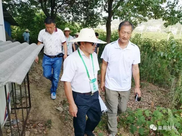 巢湖新二中最新动态揭秘，进展、影响及观点探讨