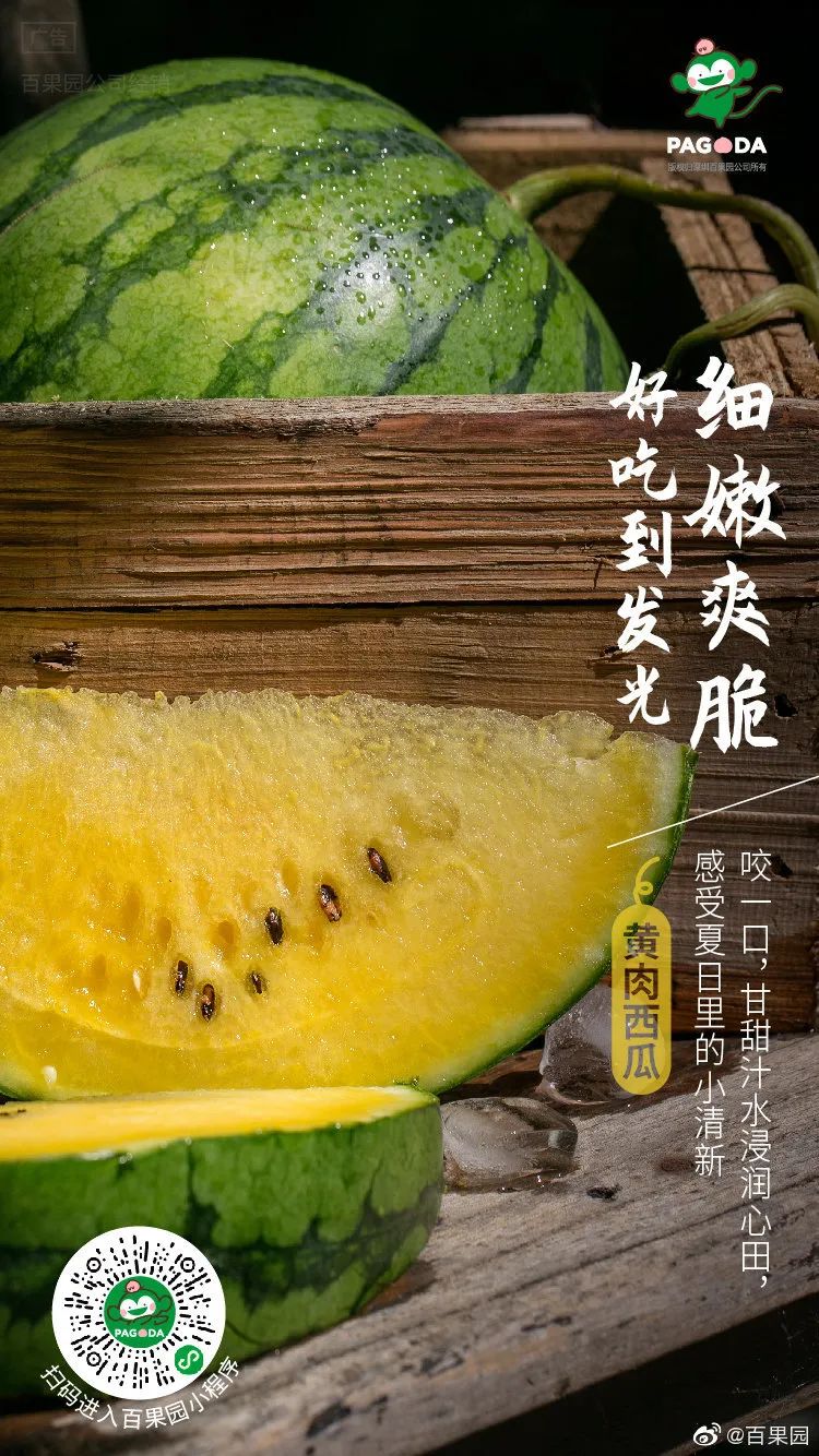 味蕾的革命之旅