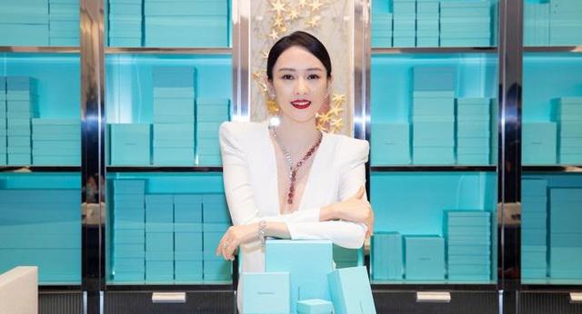 张瑾演员,张瑾演员，闪耀荧屏的璀璨之星