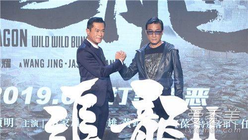 追龙电影演员表豪华阵容一览无余，大揭秘独家呈现！