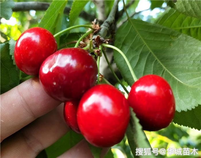 自然美景与内心平静