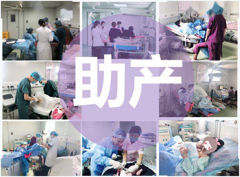 助产士招聘最新动态及小巷深处的特色小店探索之旅