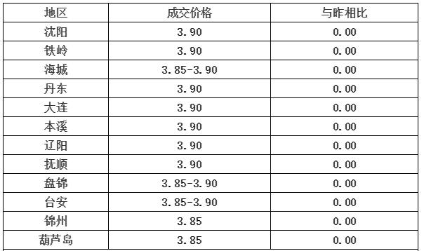 白羽肉鸡最新价格动态，友情与陪伴的温馨故事启程