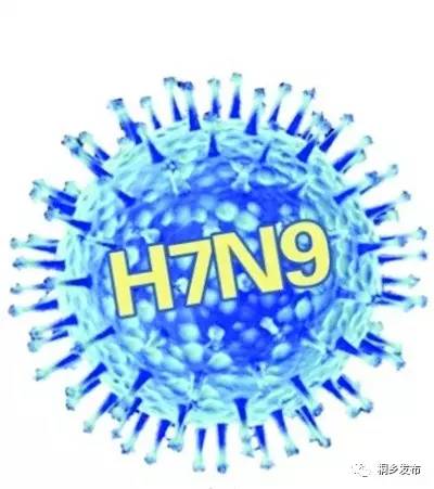 H7N9最新疫情，多方观点分析与个人立场阐述