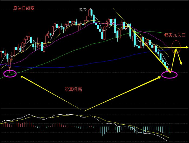原油最新分析，油海探秘之旅中的友情纽带与深度洞察