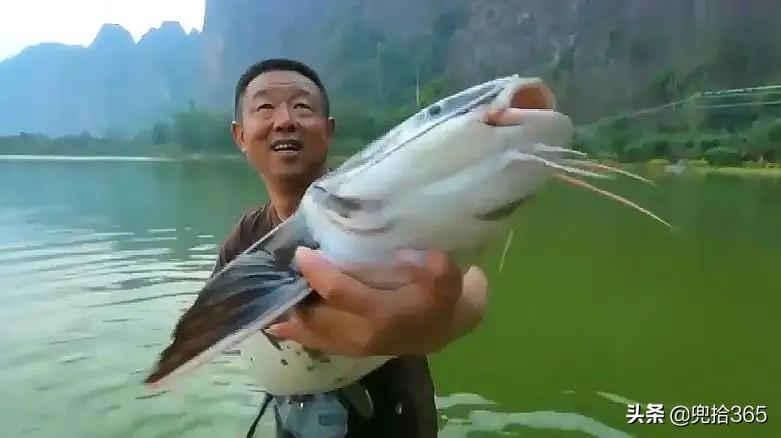 李大毛最新钓鱼视频，垂钓魅力的极致展现！