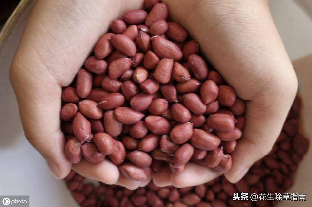 HDPE钢带增强螺旋波 第11页