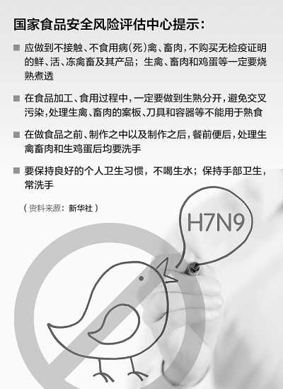 禽流感最新动态更新，禽流感疫情实时报道