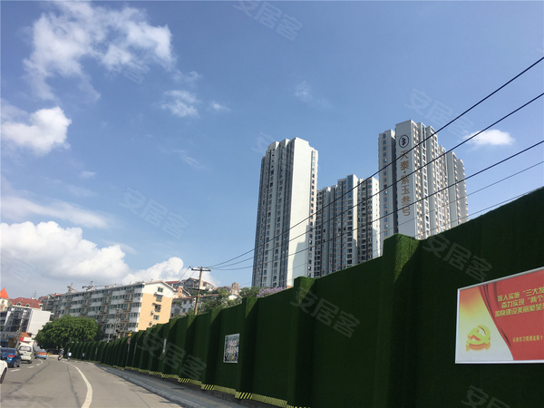 天泰紫玉叁号最新动态