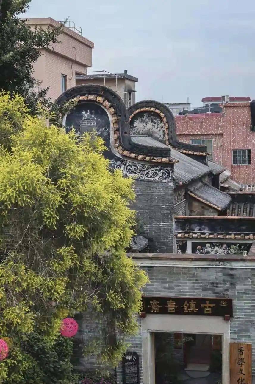 滨州市王明柱的新职位揭秘，小巷中的风景与美食探秘