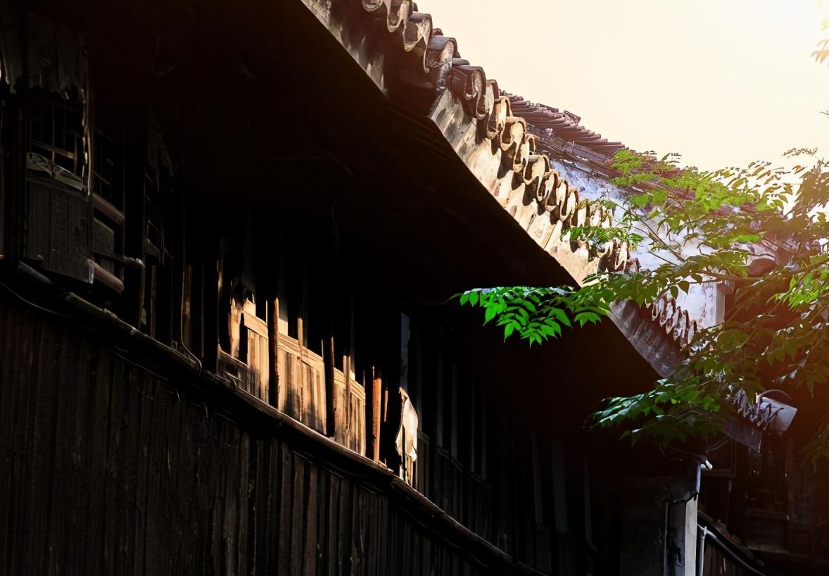 杨桥高铁最新动态，事故处理与美景探索的心灵旅行新篇章