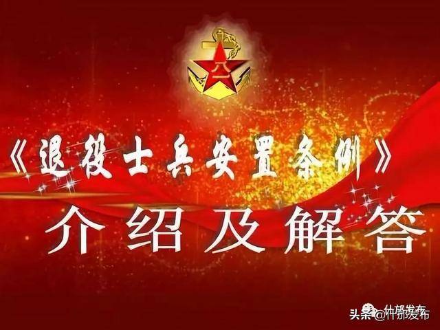 观点解析，退役军人安置最新动态及其社会影响