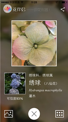 借你花app最新版本使用指南及介绍