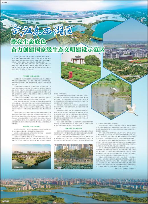 武汉东西湖最新动态，夏日趣事的揭晓