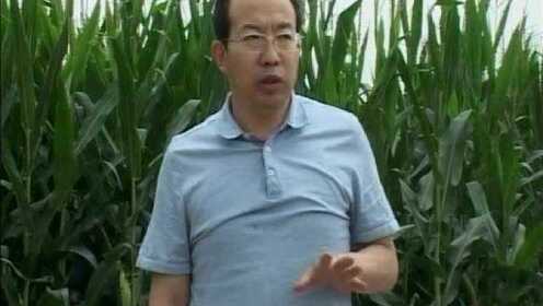 田玉林最新消息2017年,田玉林最新消息2017年