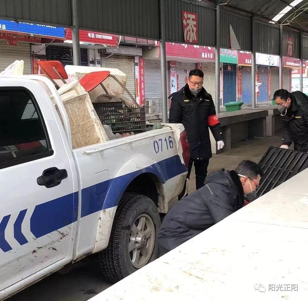 正阳城管被杀事件最新消息，自然之旅呼唤内心宁静之地