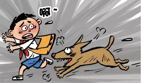 狂犬病最新新闻资讯，疫情动态与温馨日常故事