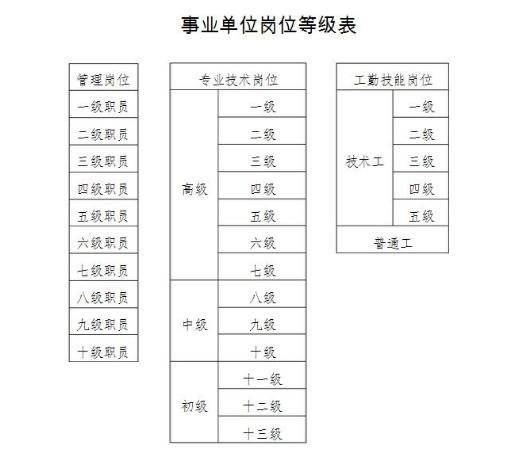 杭州龙炎最新公安消息更新