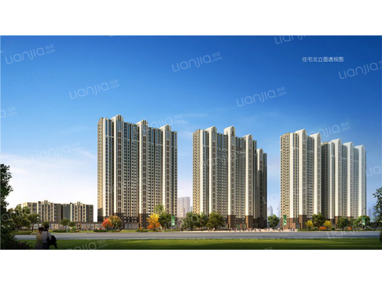 烟台德蚨家园最新动态，变化中的家园，学习铸就自信与成就