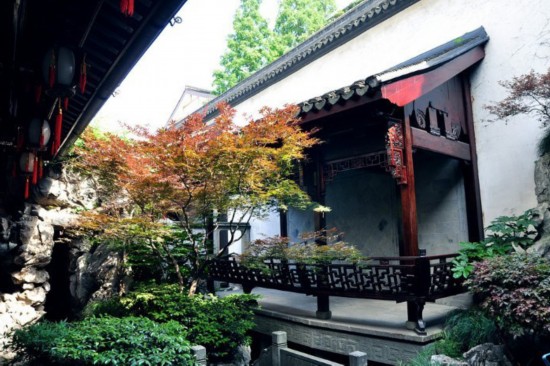蒙城紫金豪庭最新动态揭秘，小巷中的意外惊喜