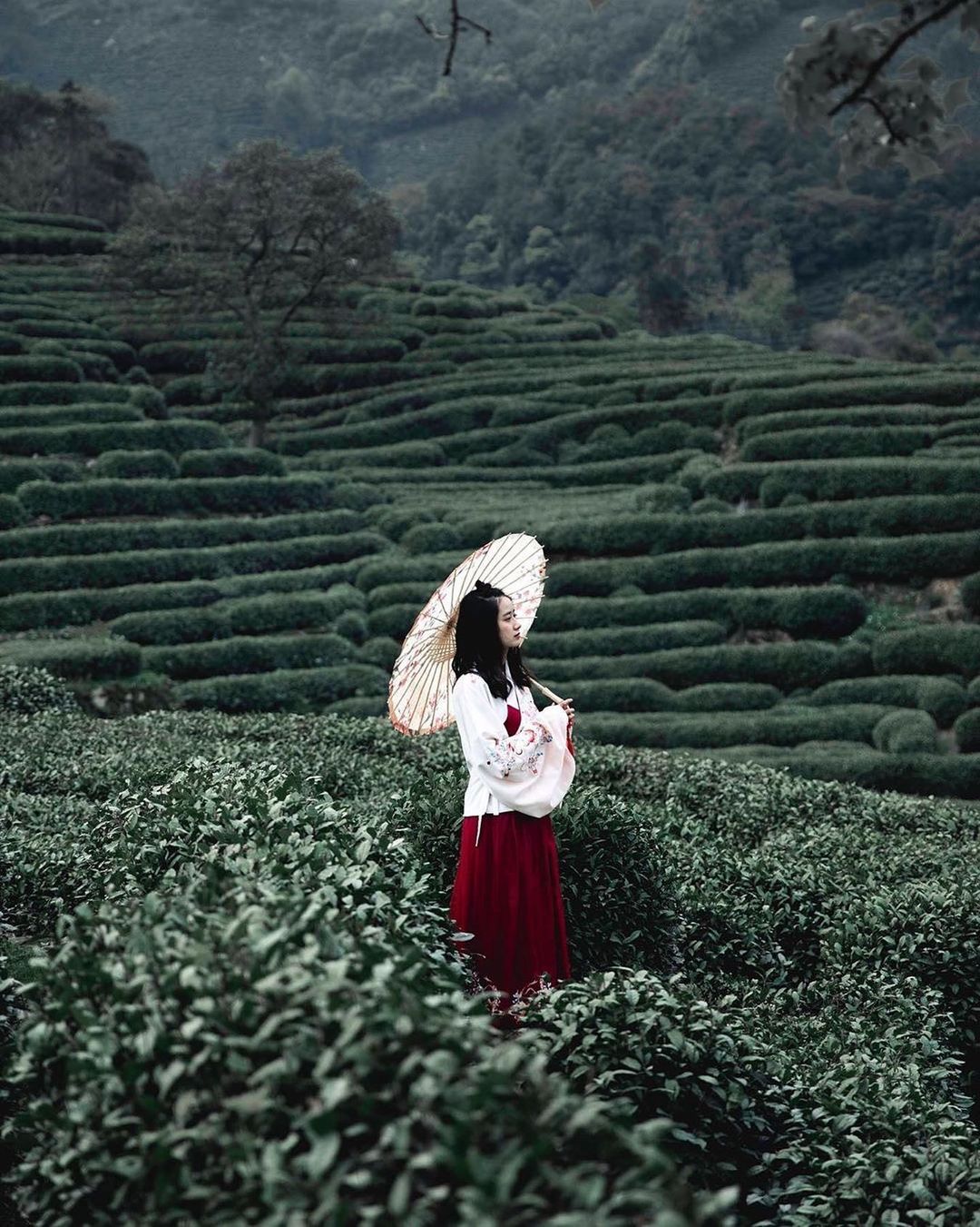 模特任宸夕，自然美景之旅的呼唤，探寻内心宁静与平和的最新动态