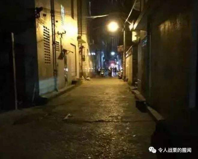 揭秘隐藏在小巷中的独特小店，今日关注最新一期探访纪实