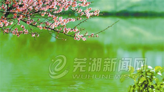 探索之旅最新动向