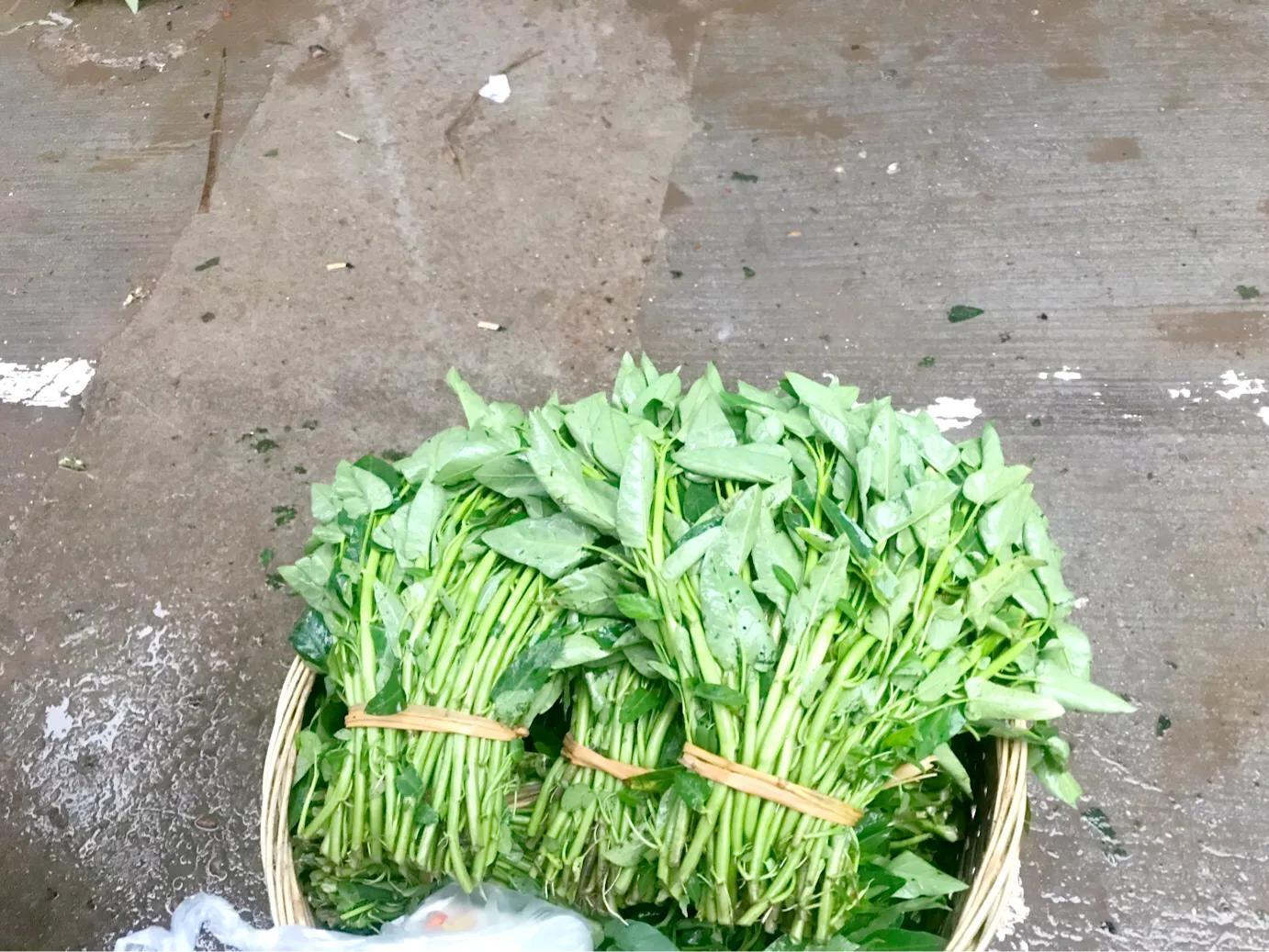 HDPE双壁波纹管 第3页