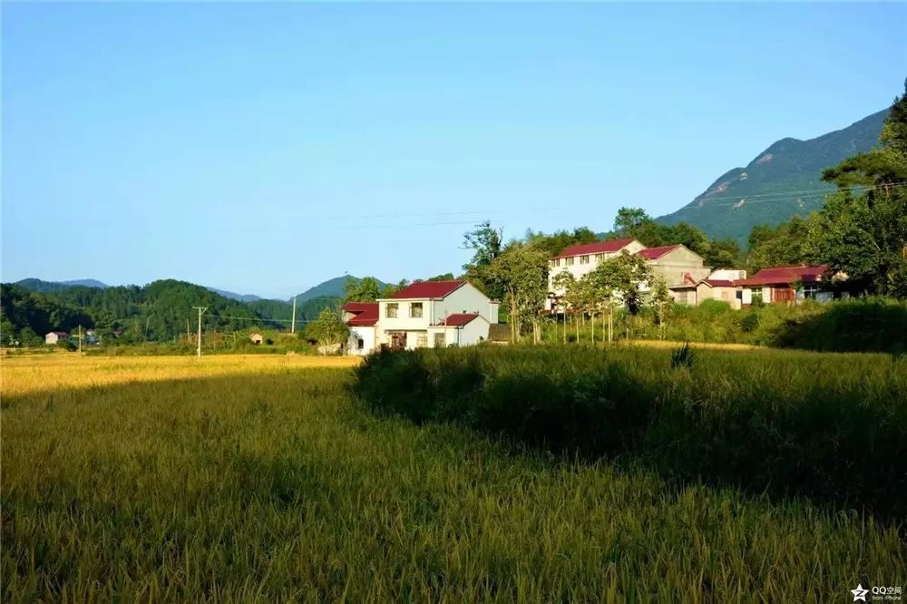 范县搬迁最新动态，探索自然美景的轻松之旅，寻找内心宁静之地