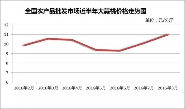 最新蒜价动态，市场走势、影响因素与案例分析