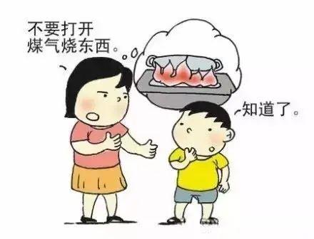 科技赋能下的液化气最新价格查询，今日液化气市场概览
