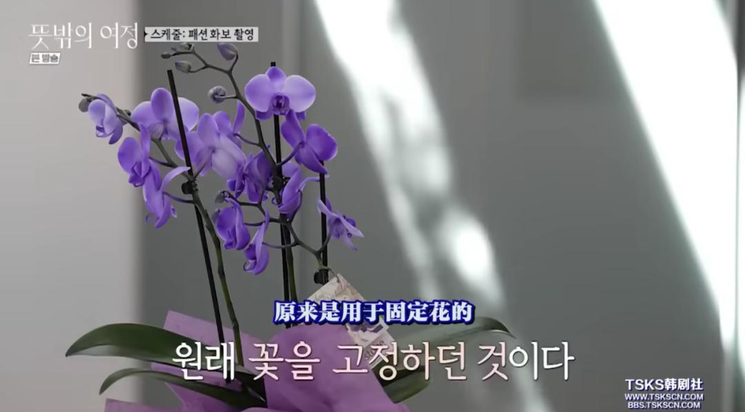 李瑞镇最新综艺节目深度解析与观点阐述，展现多元魅力与独特才艺