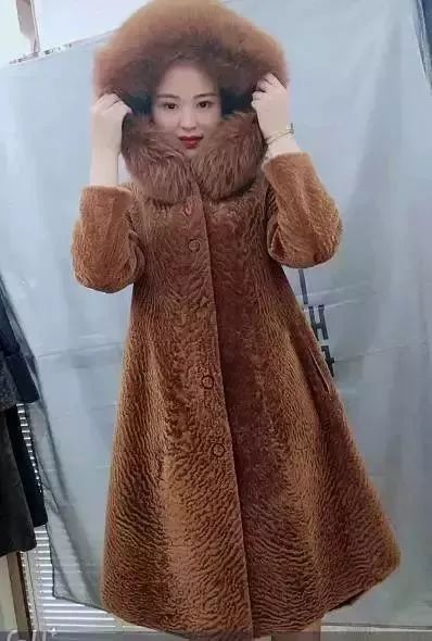 貂皮价格最新行情揭秘，温情故事背后的市场动态分析