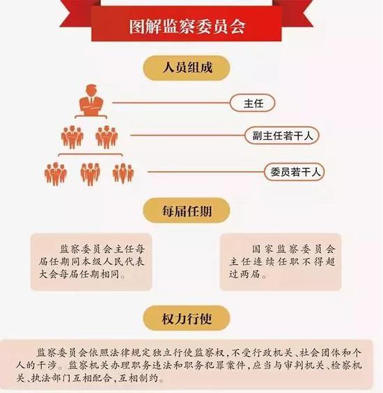 监察委员会最新动态及相关观点深度解析