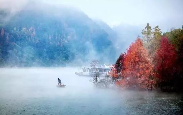 金贵银业最新动态，心灵与自然的美景之旅