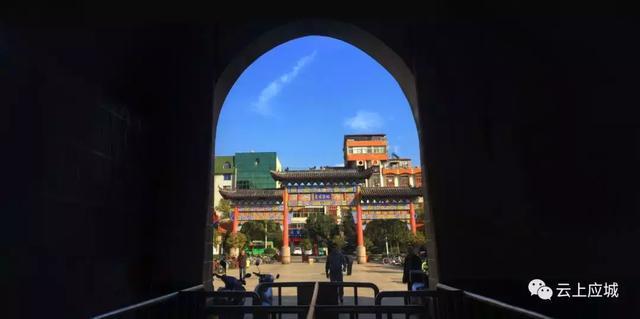 应城市隐藏版特色小店探索之旅，小巷深处的独特风味揭秘
