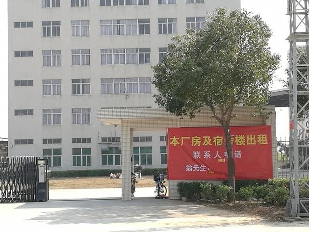 群兴玩具最新动态更新