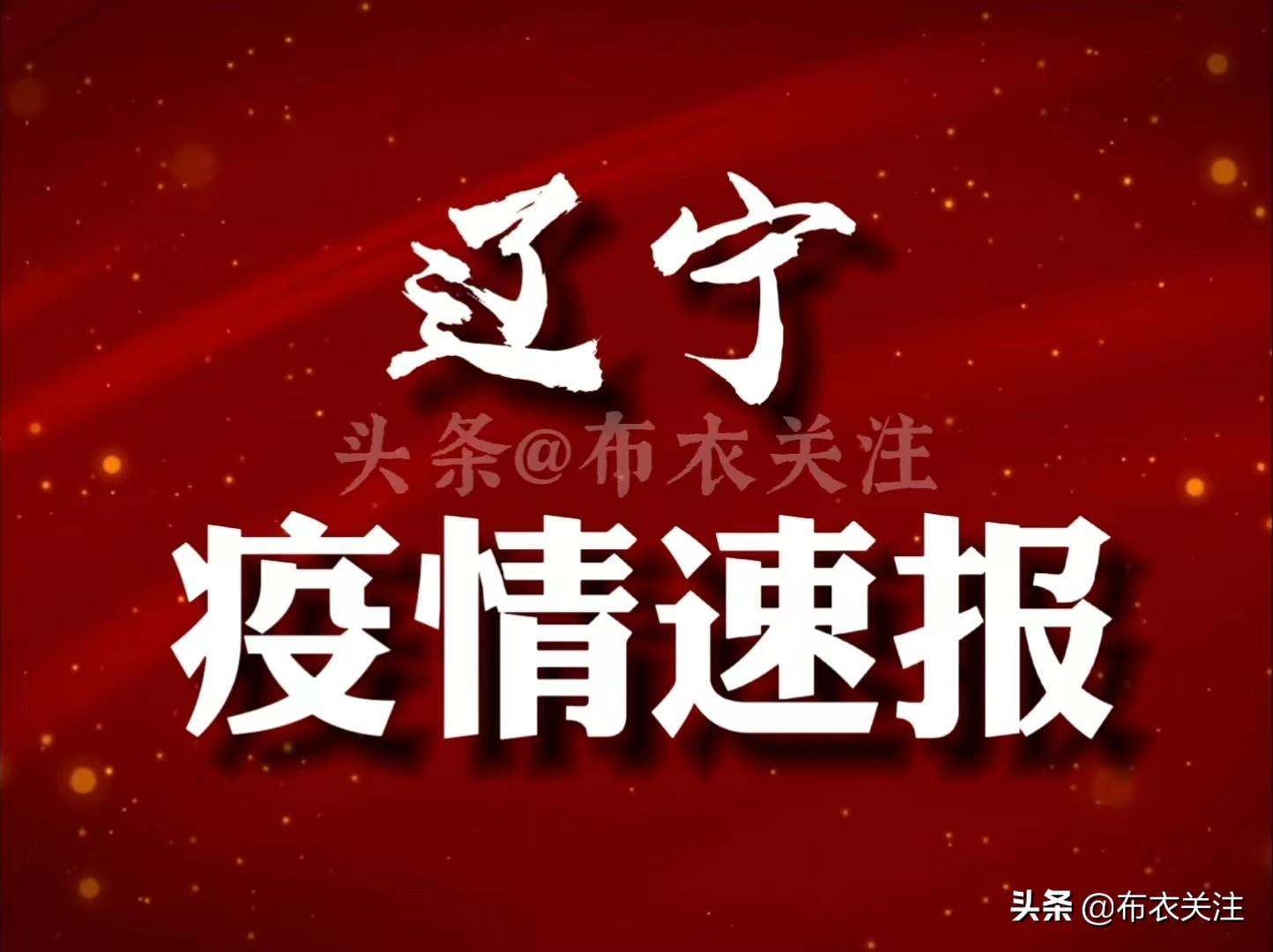 葫芦岛疫情实时更新，最新消息与动态